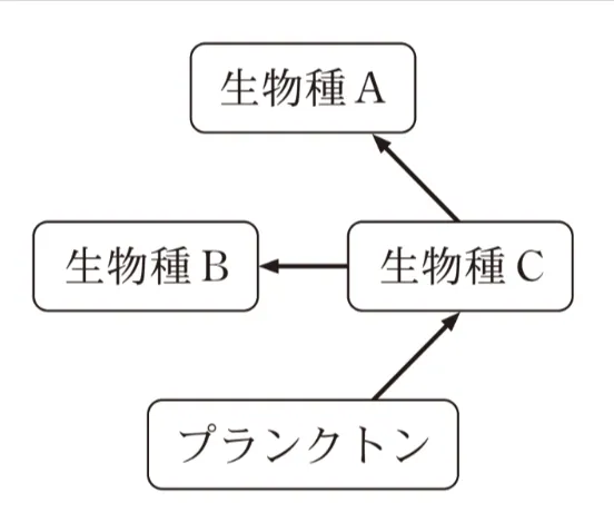 解答選択肢の画像