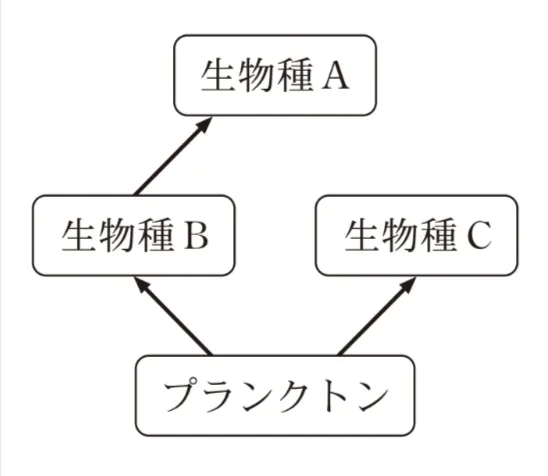解答選択肢の画像