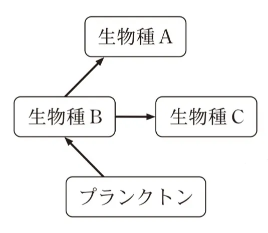 解答選択肢の画像