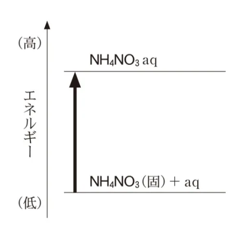 解答選択肢の画像
