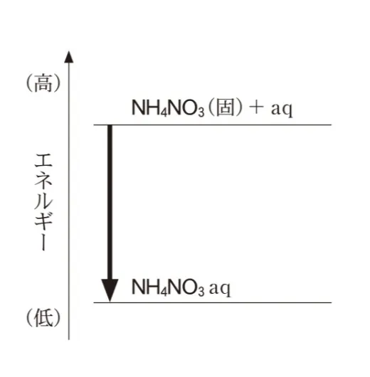 解答選択肢の画像
