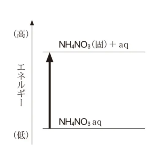 解答選択肢の画像