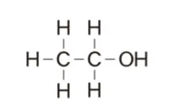 解答選択肢の画像