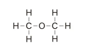 解答選択肢の画像