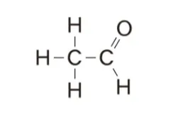 解答選択肢の画像