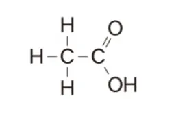 解答選択肢の画像