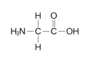 解答選択肢の画像