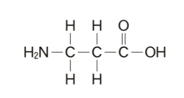 解答選択肢の画像