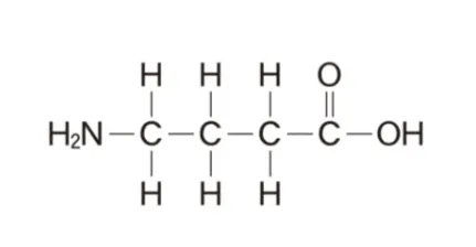 解答選択肢の画像