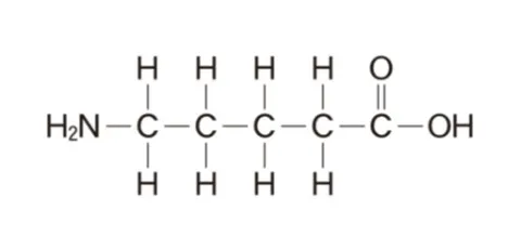 解答選択肢の画像