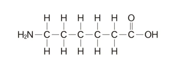 解答選択肢の画像