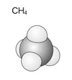 解答選択肢の画像