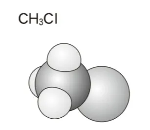 解答選択肢の画像