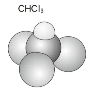 解答選択肢の画像