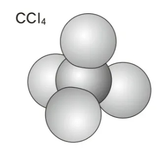 解答選択肢の画像