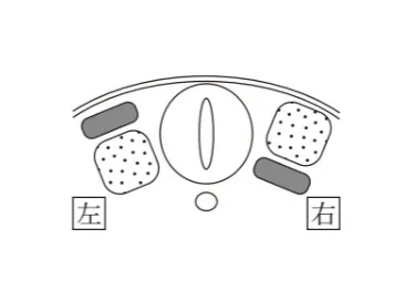 解答選択肢の画像