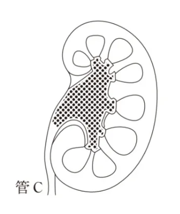 解答選択肢の画像
