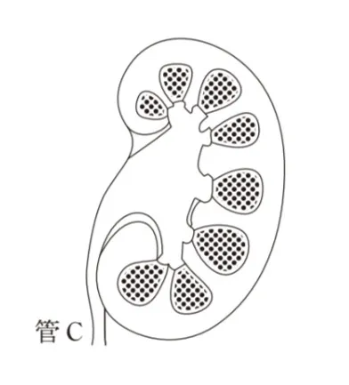 解答選択肢の画像