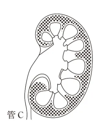 解答選択肢の画像