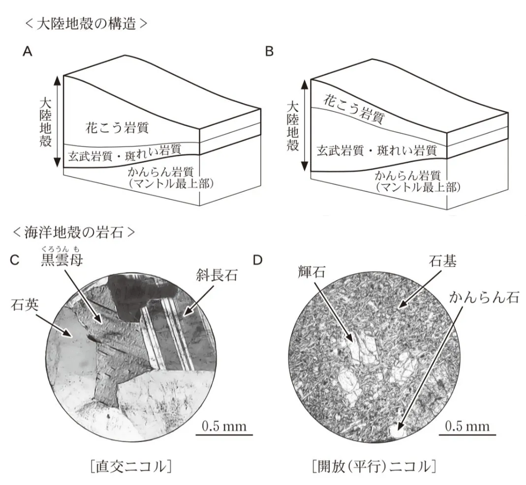 問題文の画像