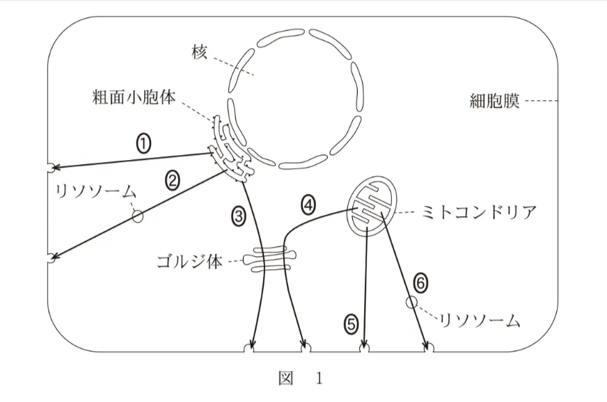 問題文の画像