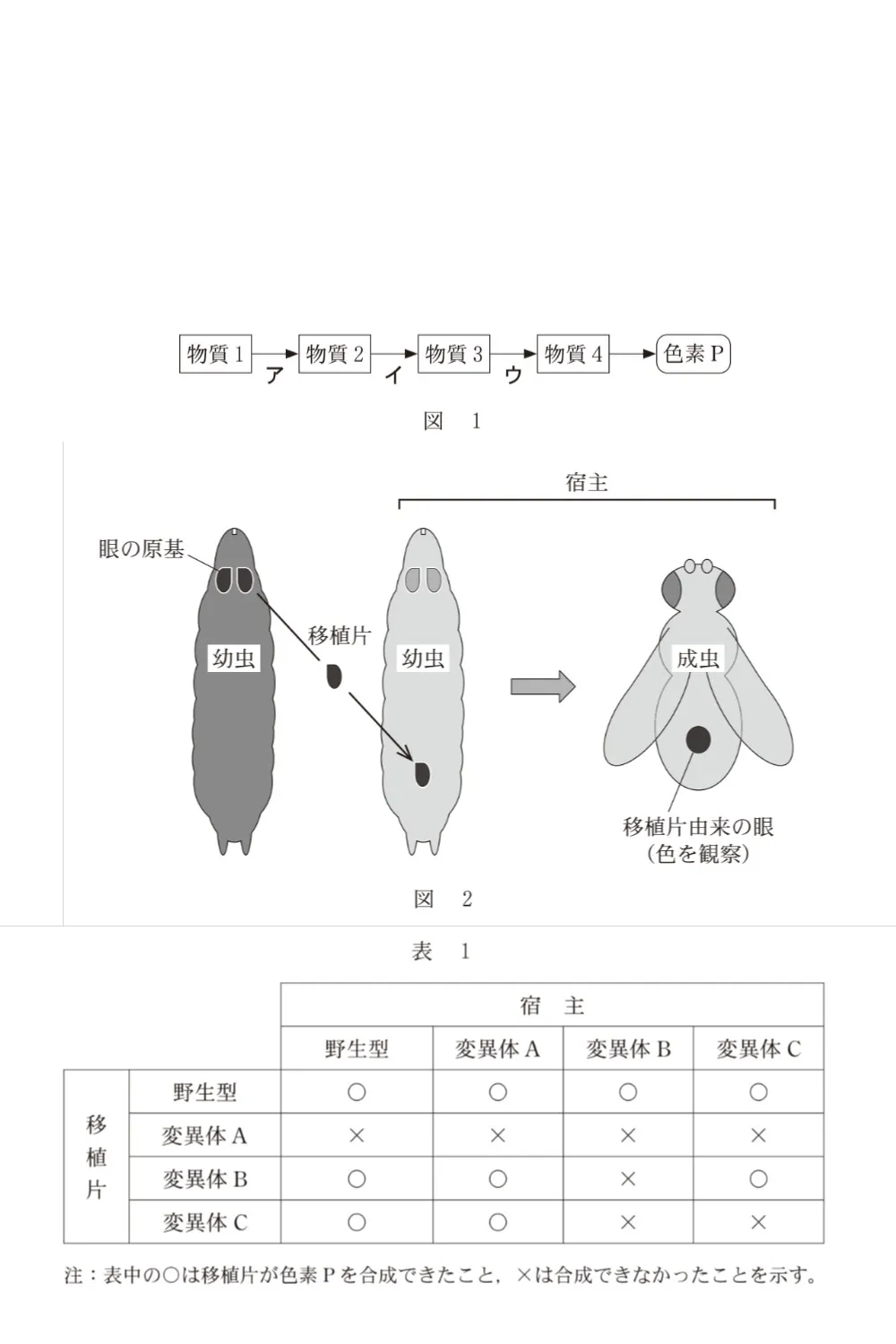 問題文の画像