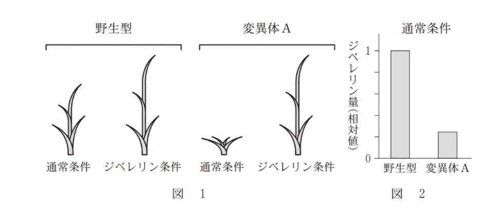 問題文の画像