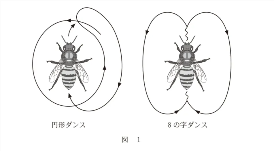 問題文の画像