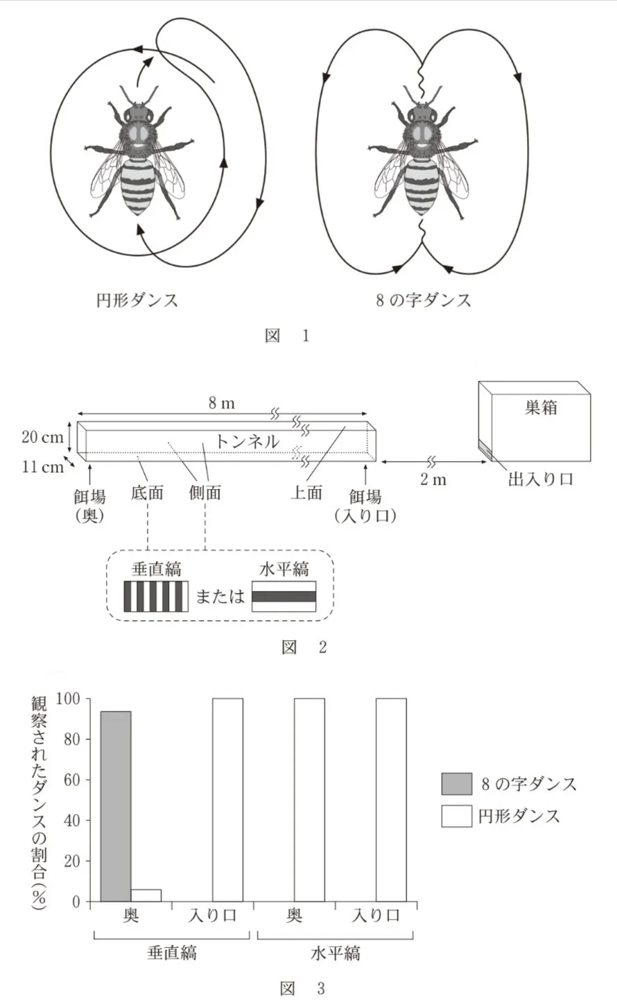 問題文の画像