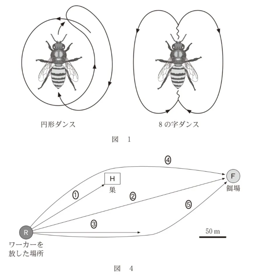 問題文の画像