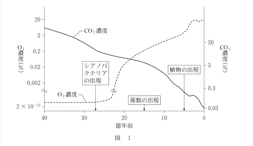 問題文の画像