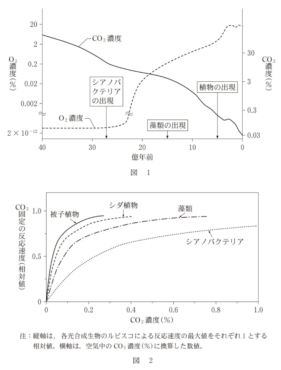 問題文の画像