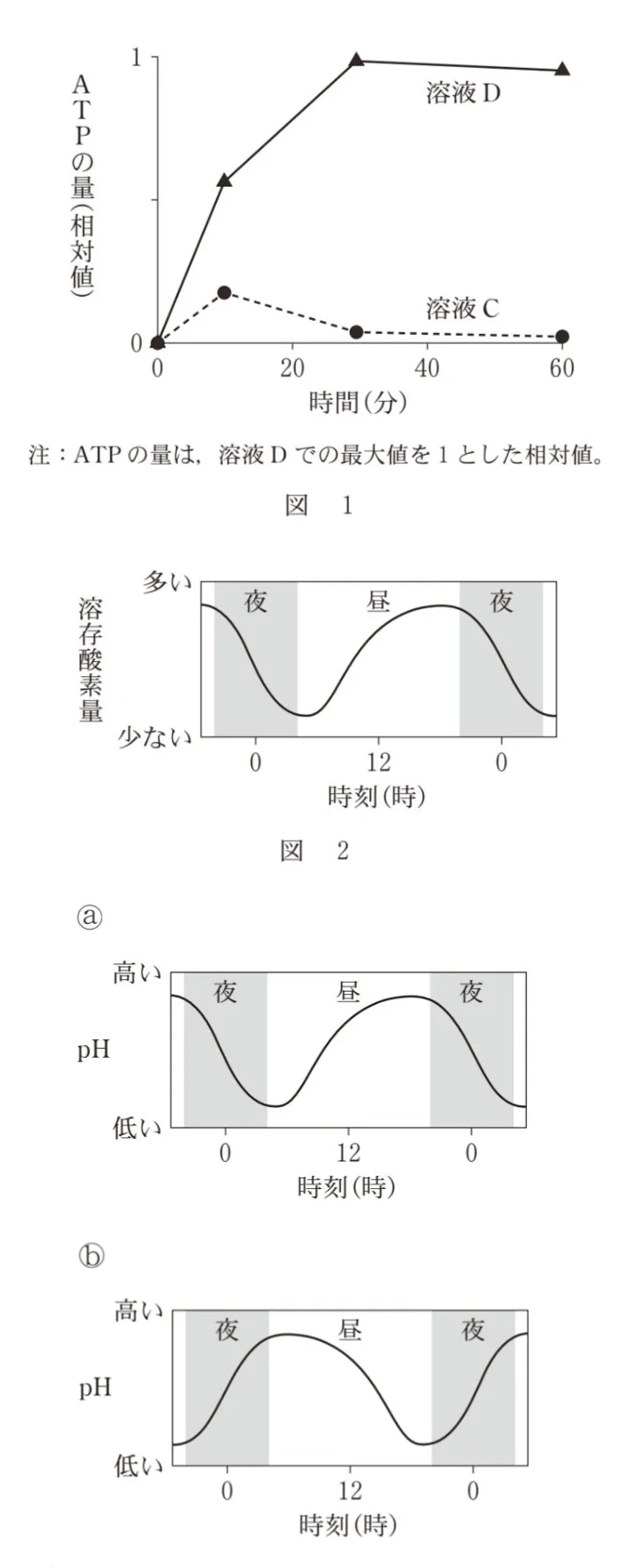 問題文の画像