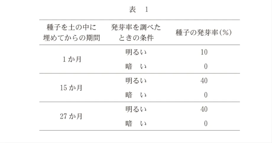 問題文の画像