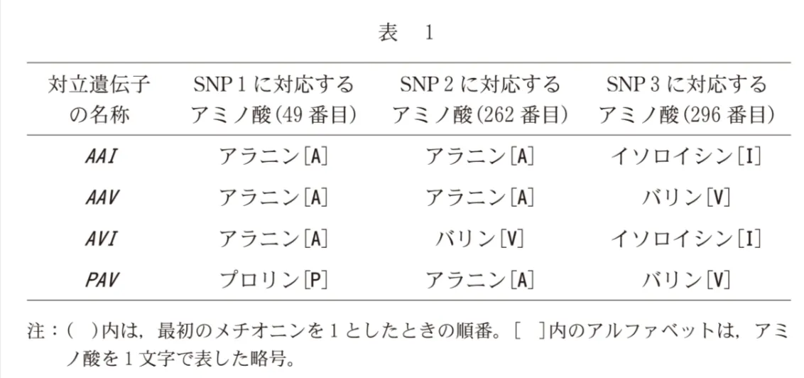 問題文の画像
