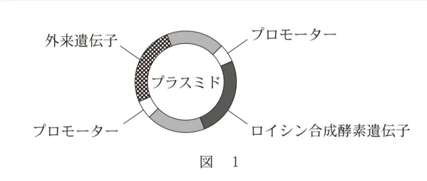 問題文の画像