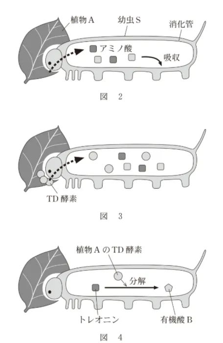 問題文の画像