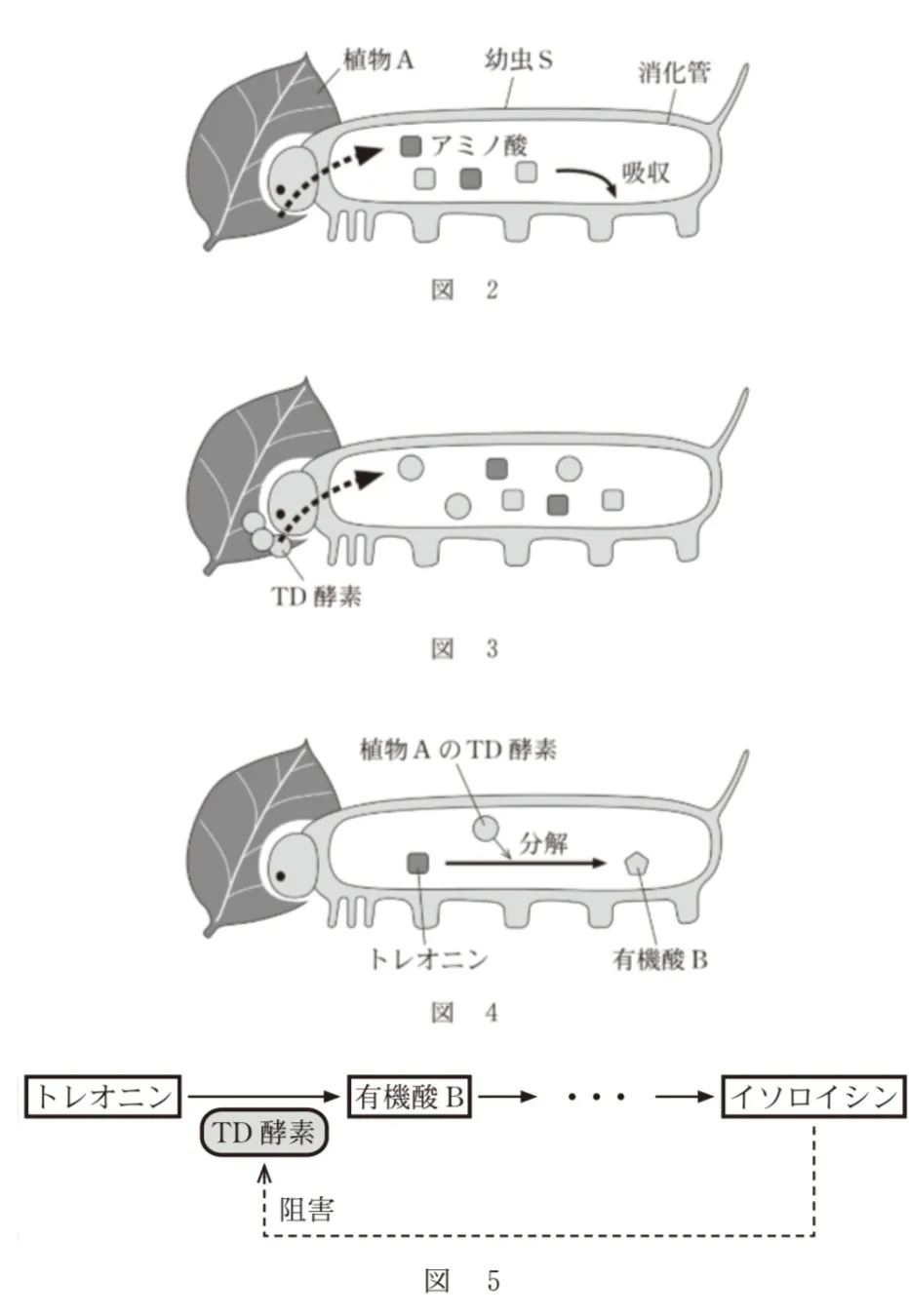 問題文の画像