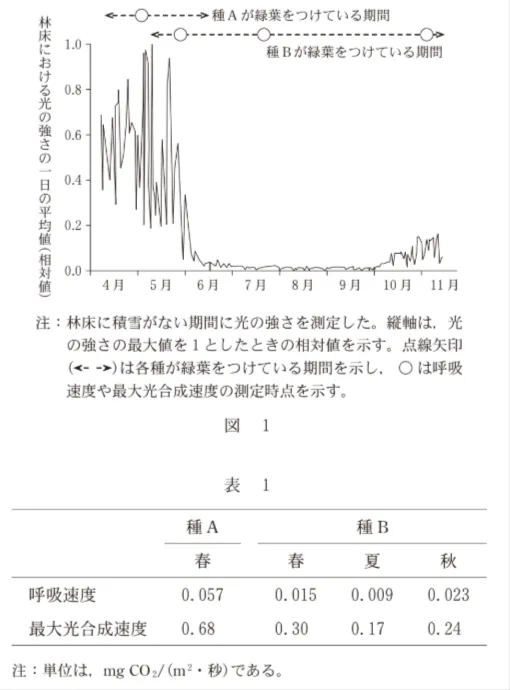 問題文の画像