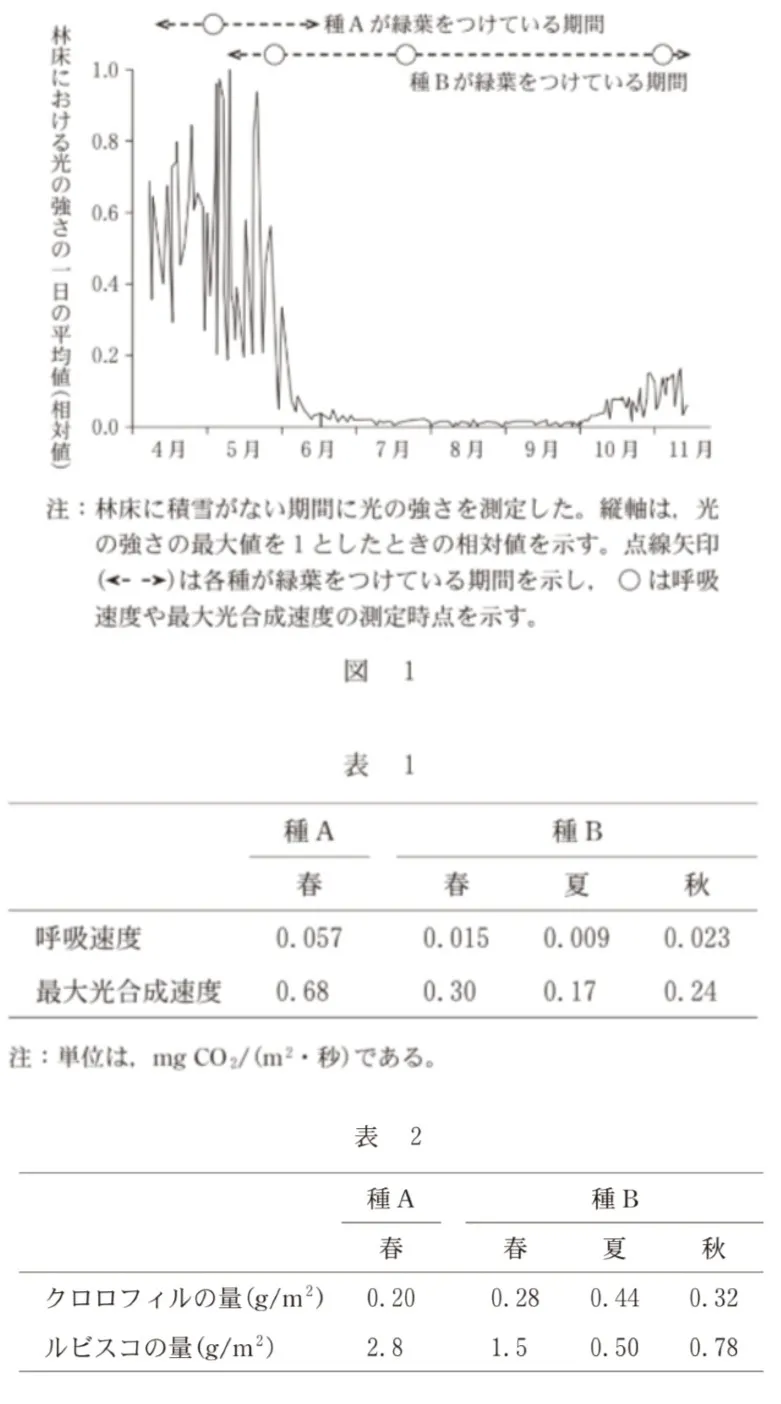 問題文の画像