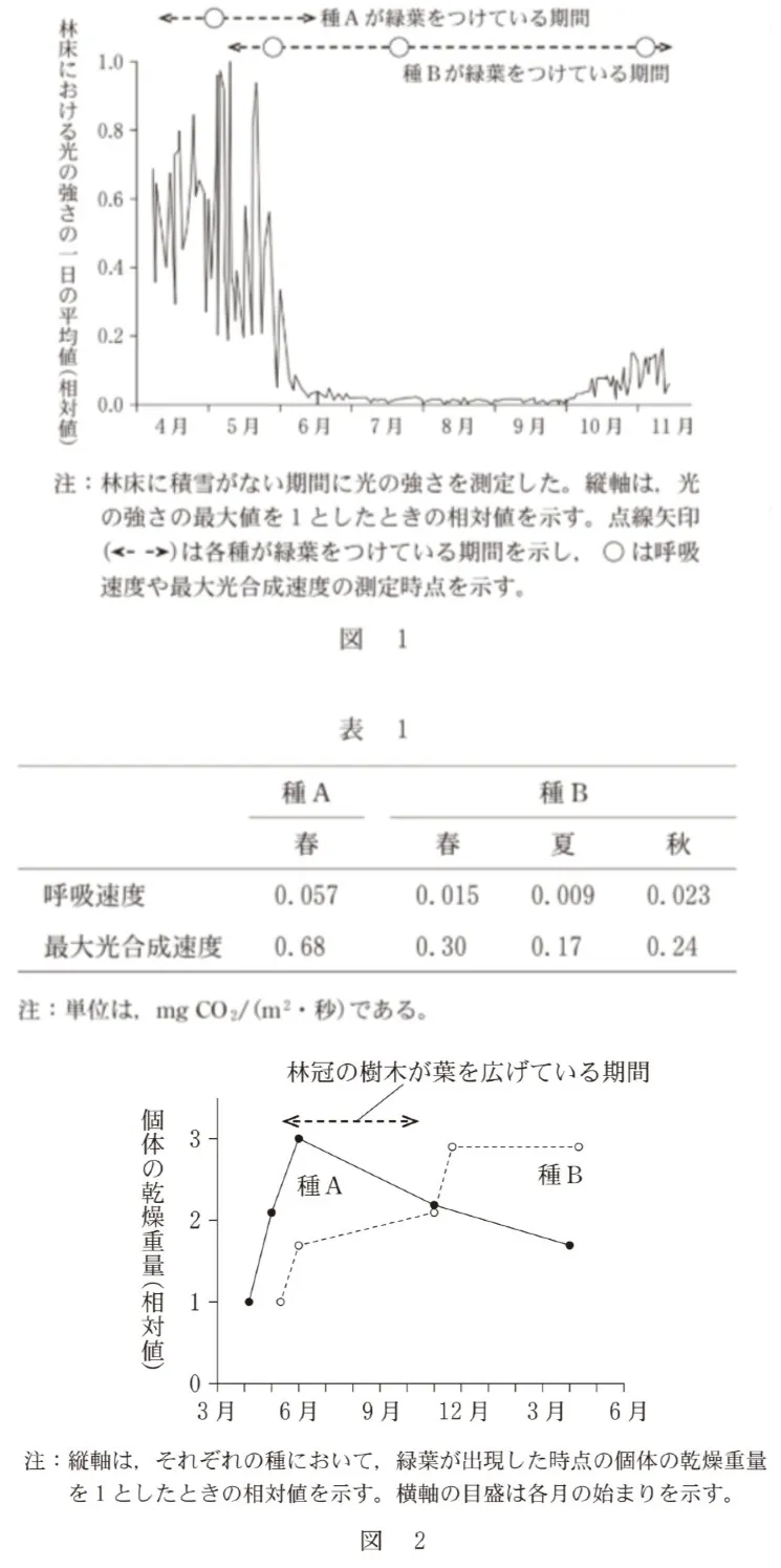 問題文の画像
