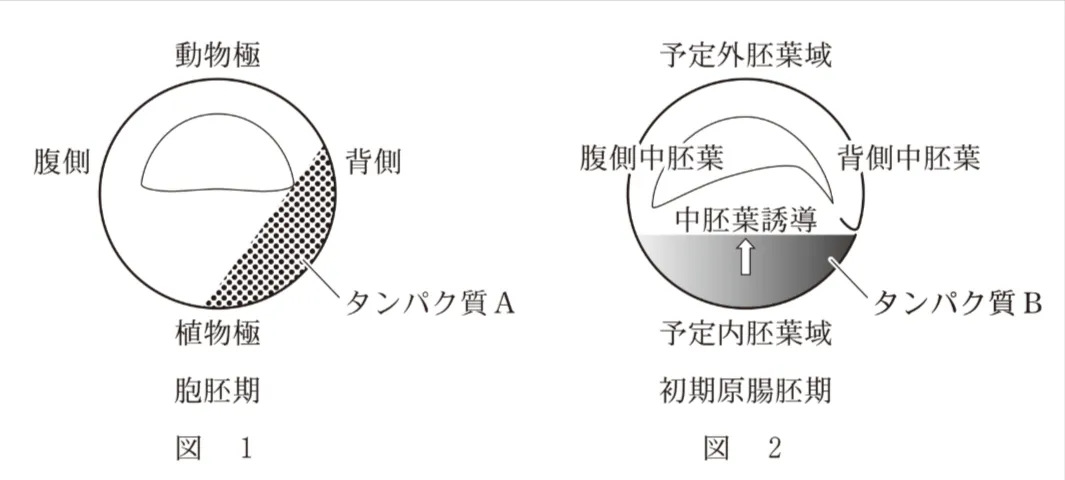 問題文の画像