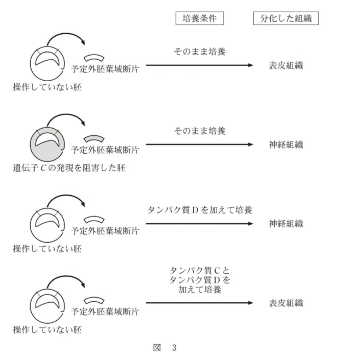 問題文の画像