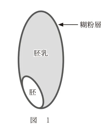 問題文の画像