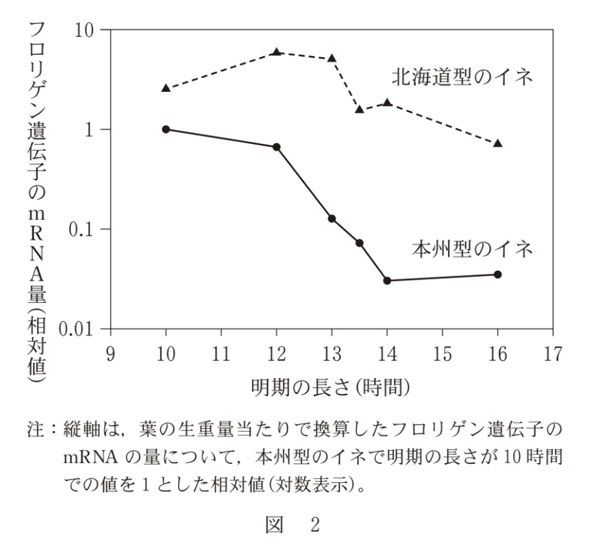 問題文の画像