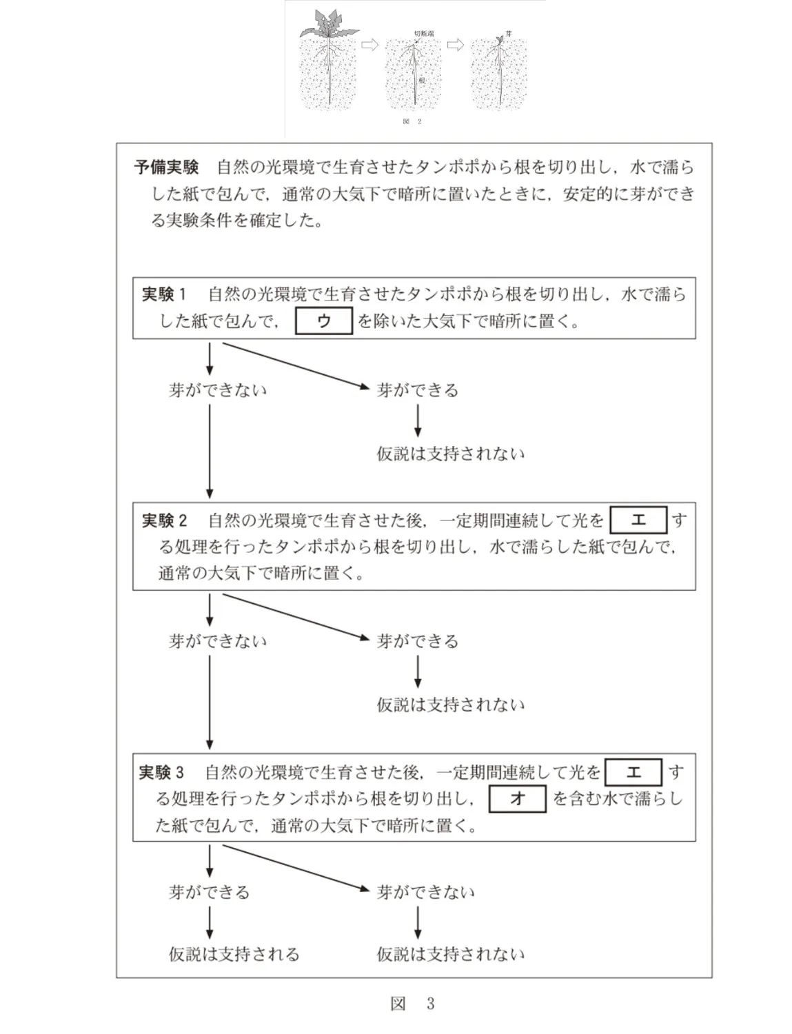 問題文の画像