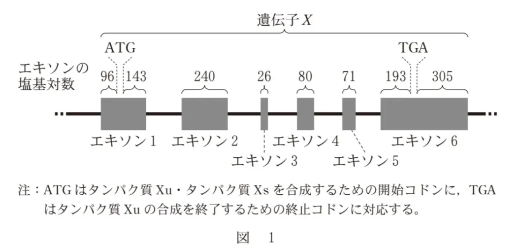 問題文の画像
