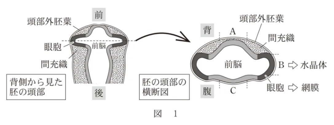 問題文の画像