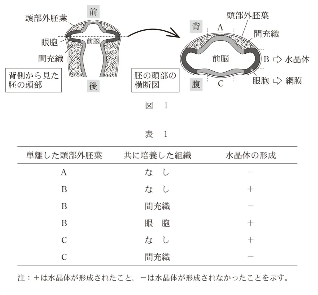 問題文の画像