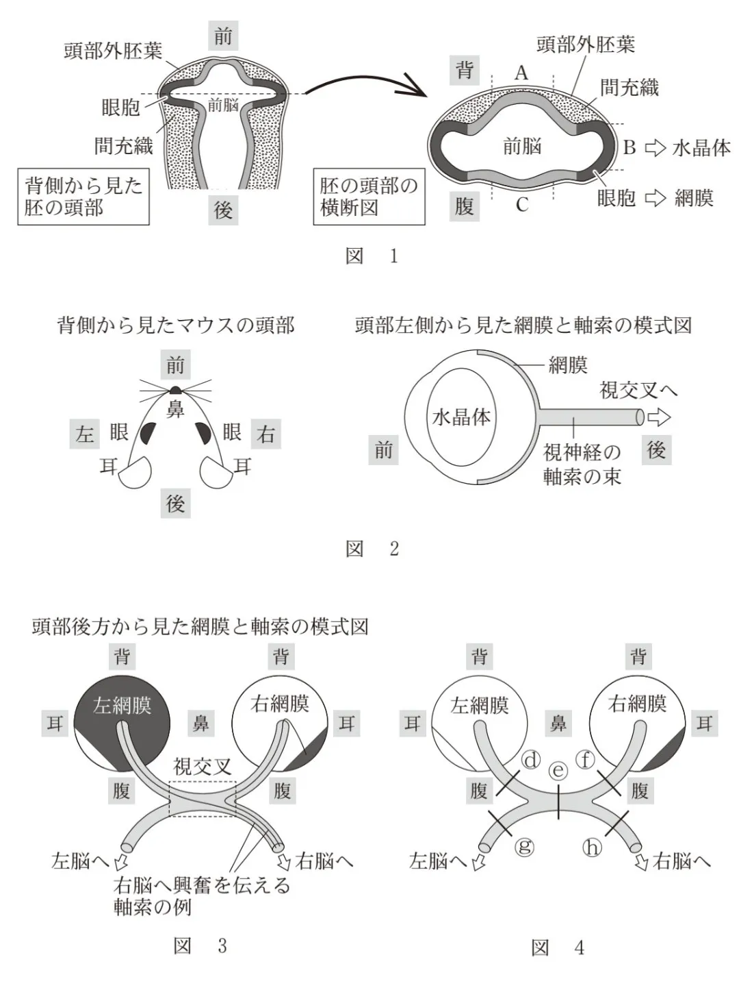問題文の画像